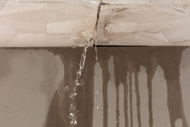 Professional Structural Drying technician working in Oreland, PA